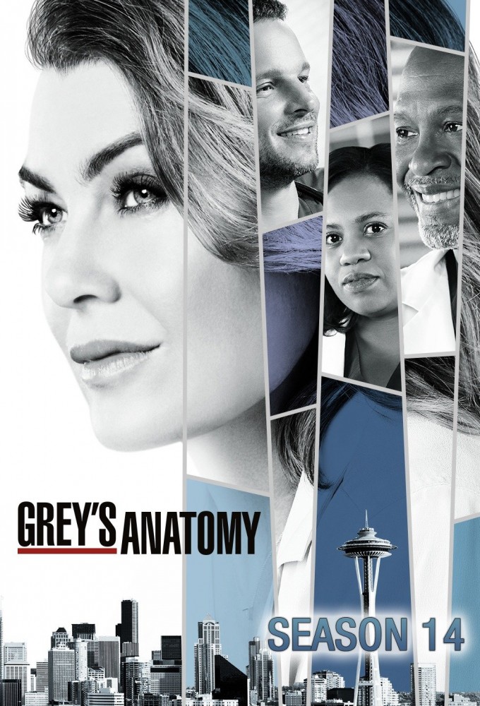 Grey's Anatomy - Season 14 [134684] (A1774147712) [[Shows 2.0]] --Plex--